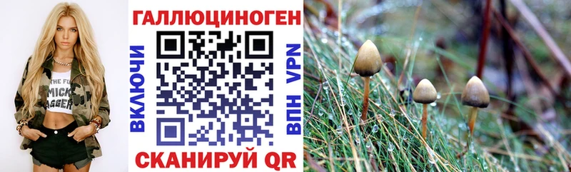 Галлюциногенные грибы Cubensis  Озёры 